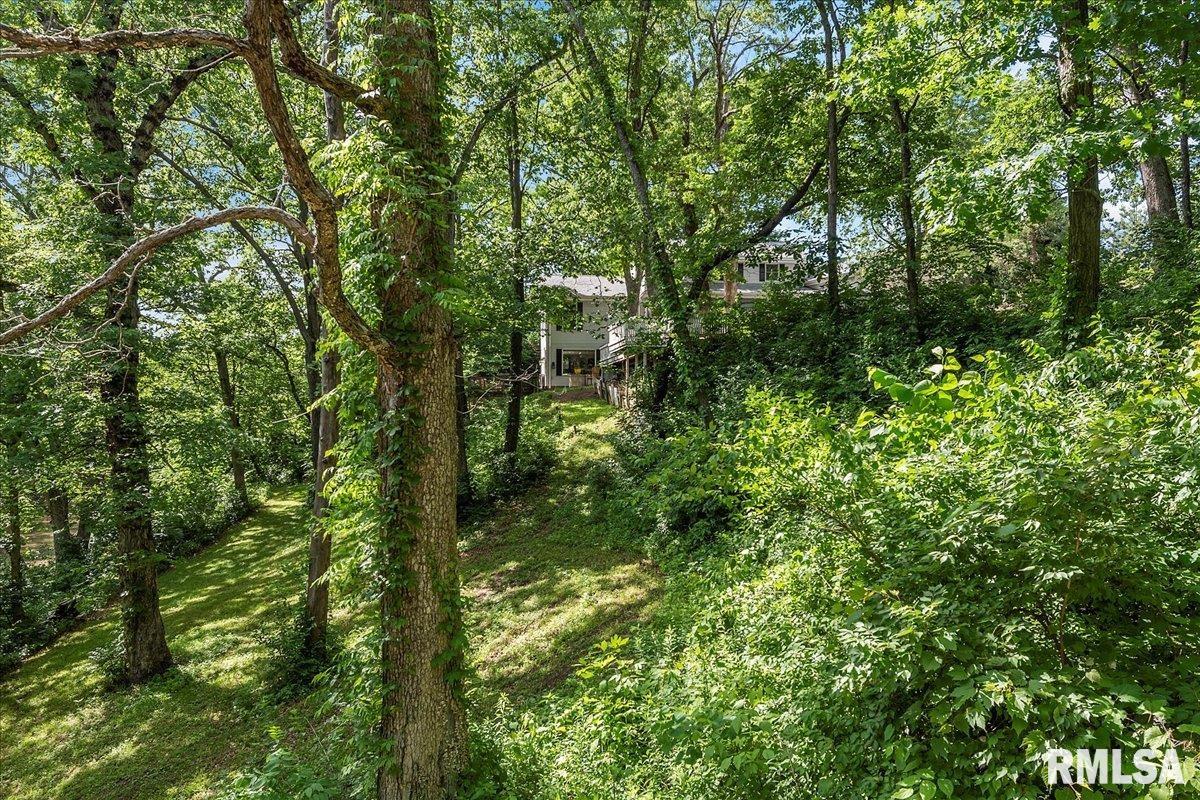 5920 Waldmire Road Rochester, IL 62563 - Photo 73 of 86