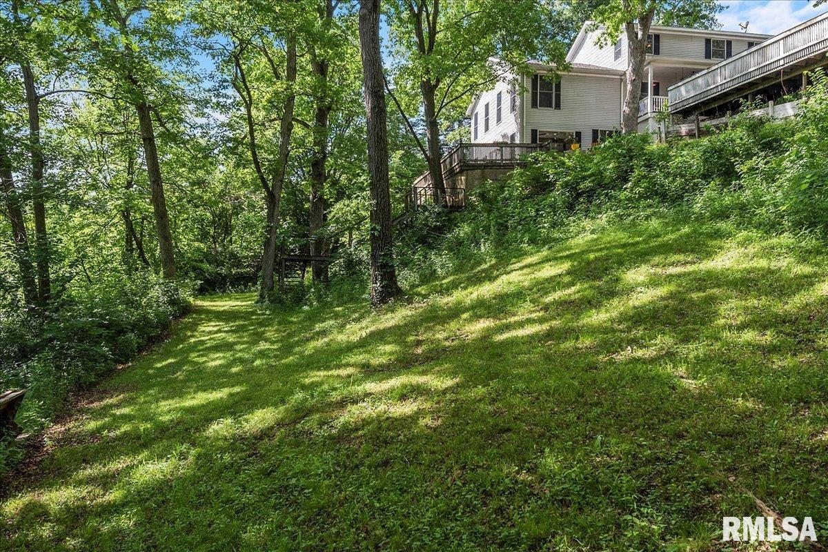 5920 Waldmire Road Rochester, IL 62563 - Photo 74 of 86