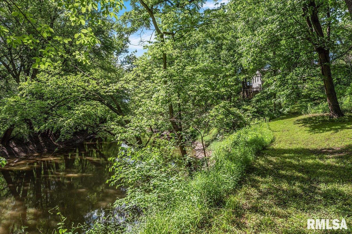 5920 Waldmire Road Rochester, IL 62563 - Photo 77 of 86
