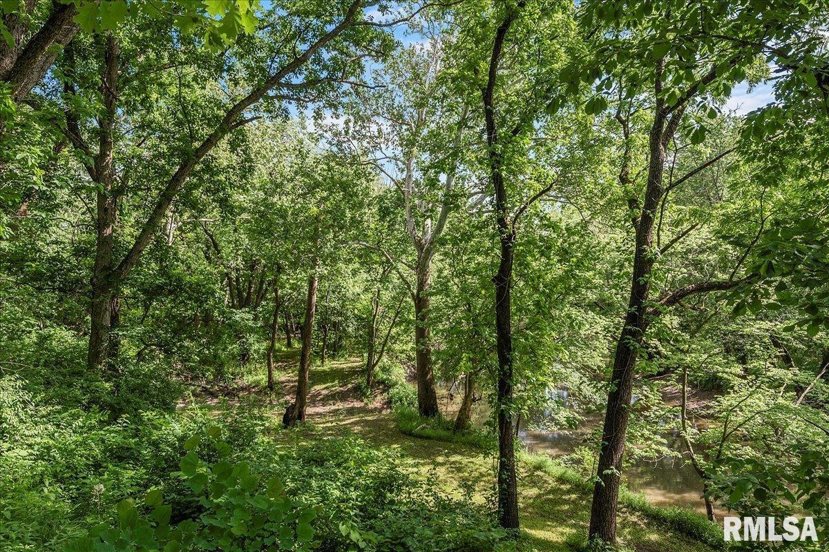 5920 Waldmire Road Rochester, IL 62563 - Photo 78 of 86