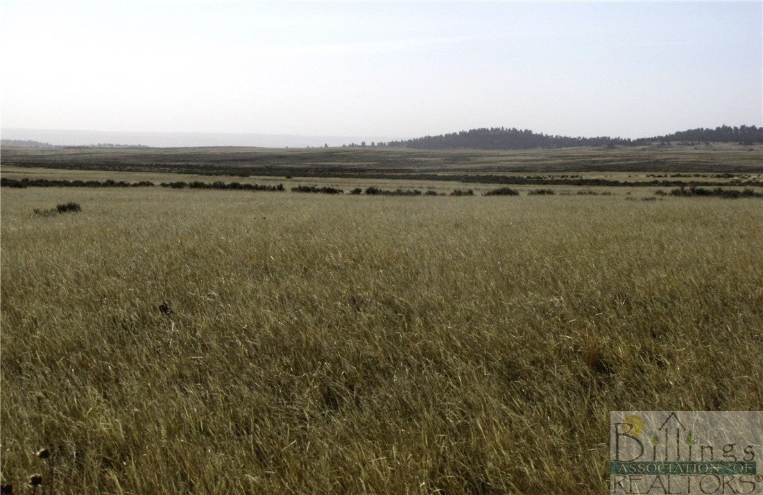 Nhn Lindstrom Road Shepherd, MT 59079 - Photo 2 of 36 Gallery Image 2