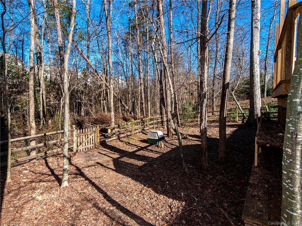 417 St George Road Fort Mill, SC 29708 - Photo 19 of 23 Gallery Image 19