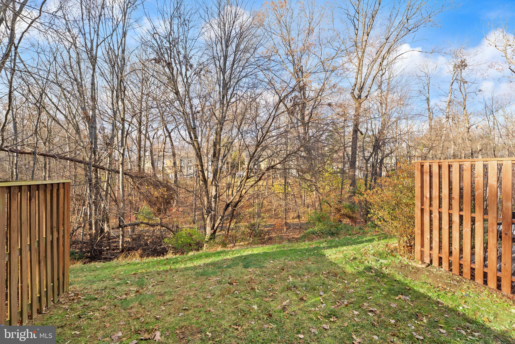 1616 Barnstead Drive Reston, VA 20194 - Photo 45 of 49 a view of backyard with tree