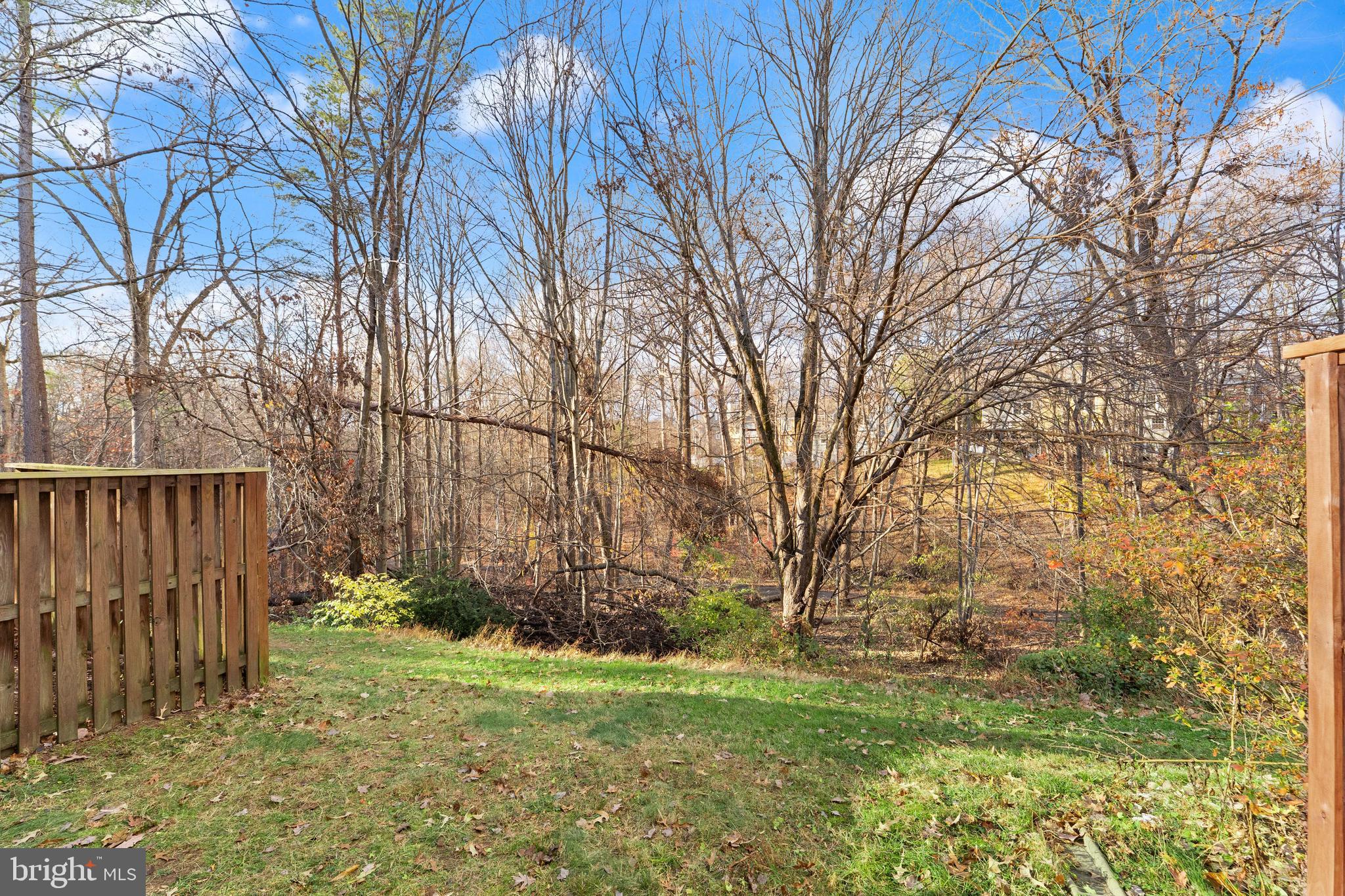 1616 Barnstead Drive Reston, VA 20194 - Photo 46 of 49 a backyard of a house with plants and large trees