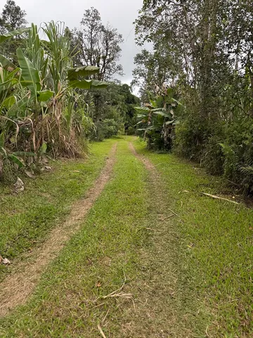 a view of yard with green space