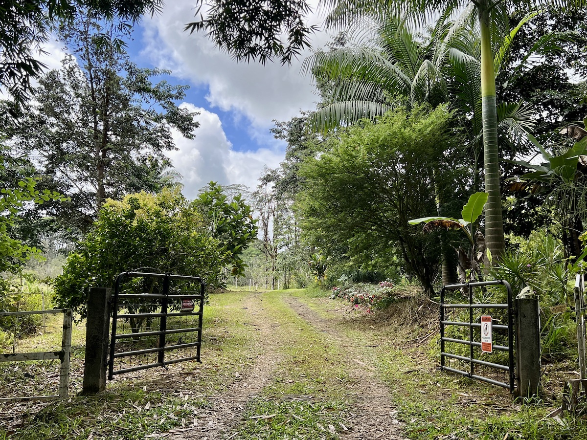 17-3853 Enos Road Mountain View, HI 96760 - Photo 19 of 20 a view of a bench in the garden