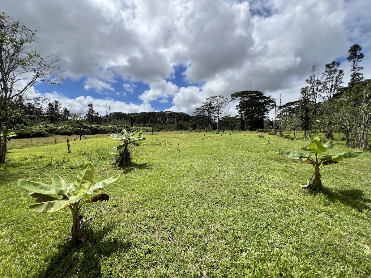 17-3853 Enos Road Mountain View, HI 96760 - Photo 7 of 20 a view of a lake with houses in the back