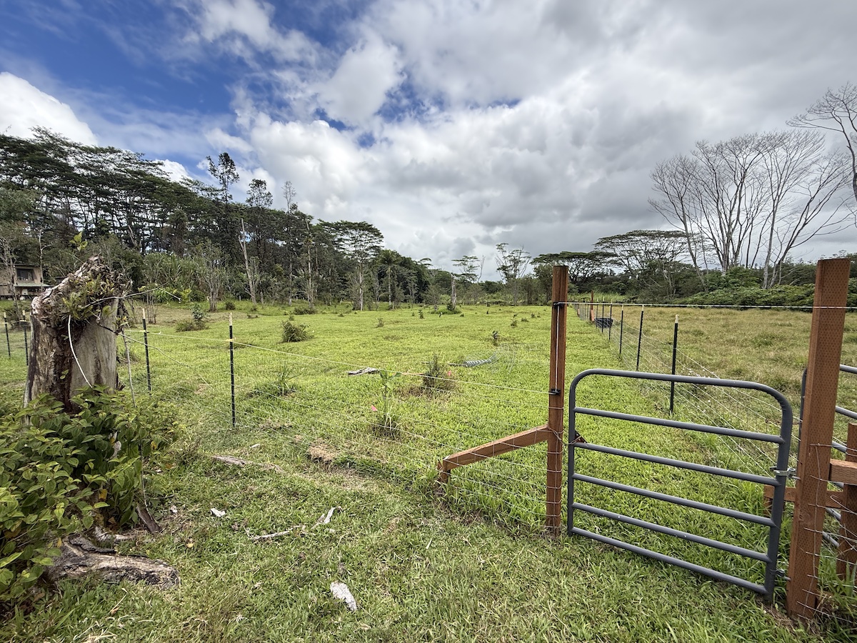 17-3853 Enos Road Mountain View, HI 96760 - Photo 9 of 20 a view of a park