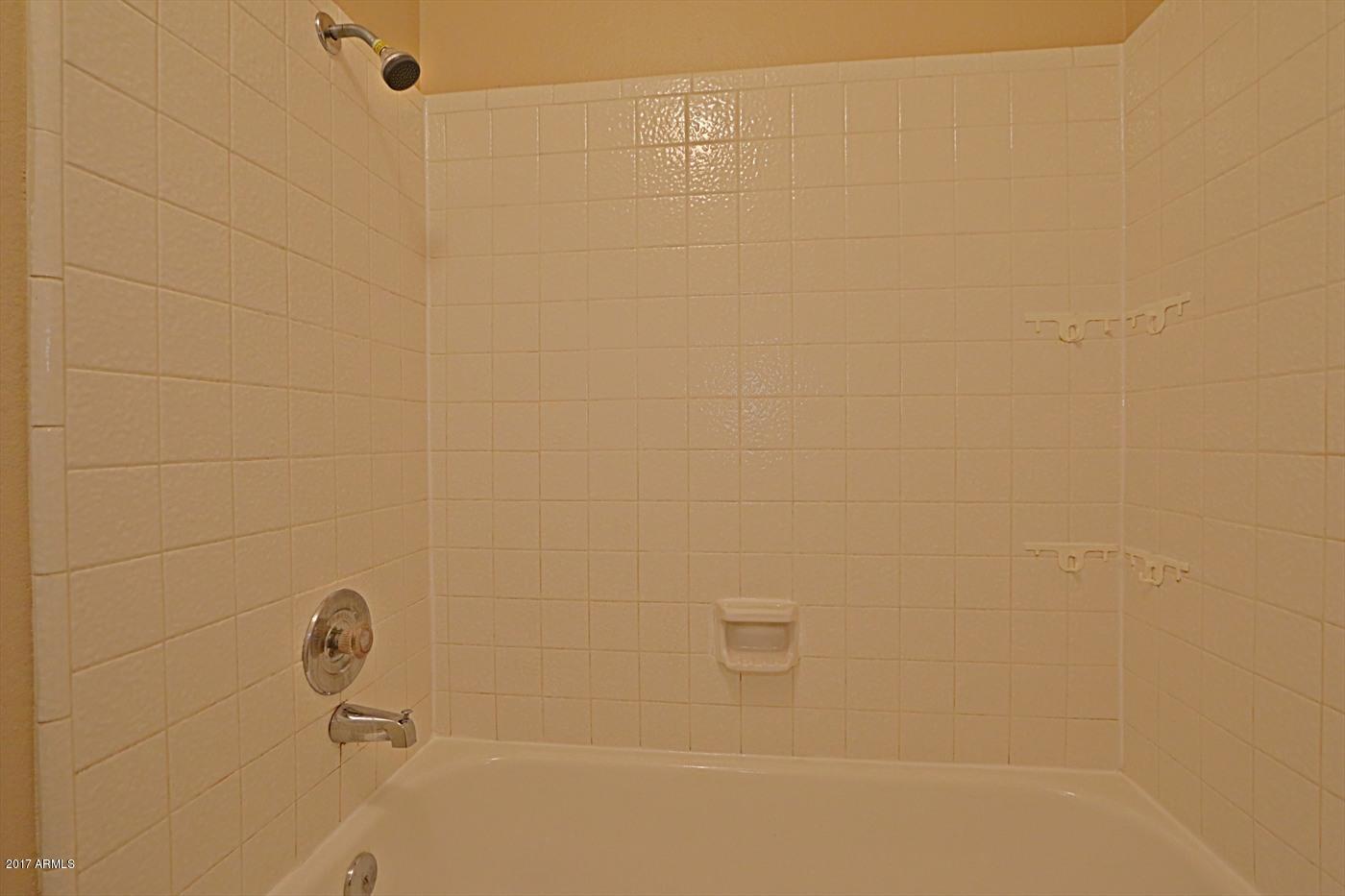 1055 North Recker Road, Unit 1256 Mesa, AZ 85205 - Photo 25 of 36 Master Bath 4