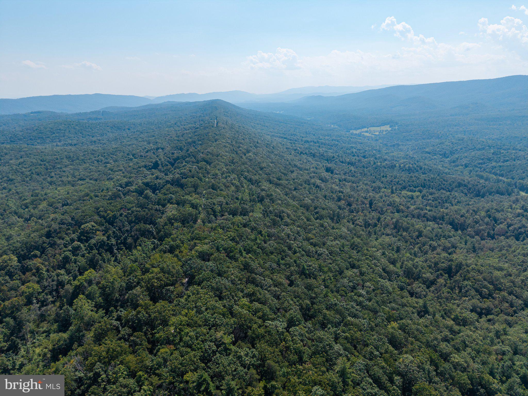 0 Supinlick Ridge Road Mount Jackson, VA 22842 - Photo 19 of 33 Gallery Image 19