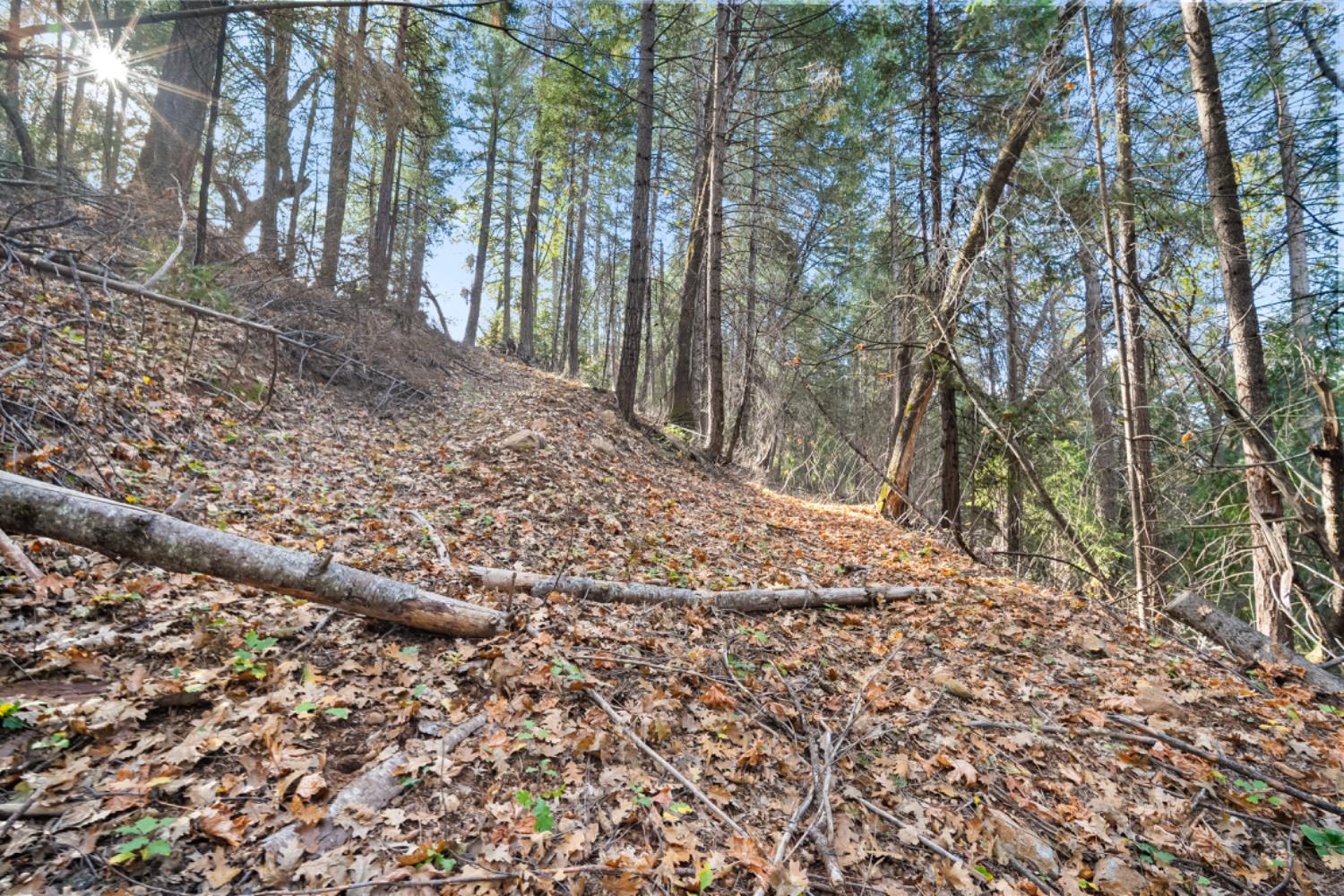0 Starkes Grade Road Pollock Pines, CA 95726 - Photo 22 of 23
