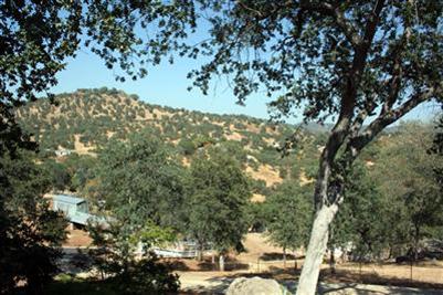 40775 Iris Road Squaw Valley, CA 93675 - Photo 10 of 25 Gallery Image 10