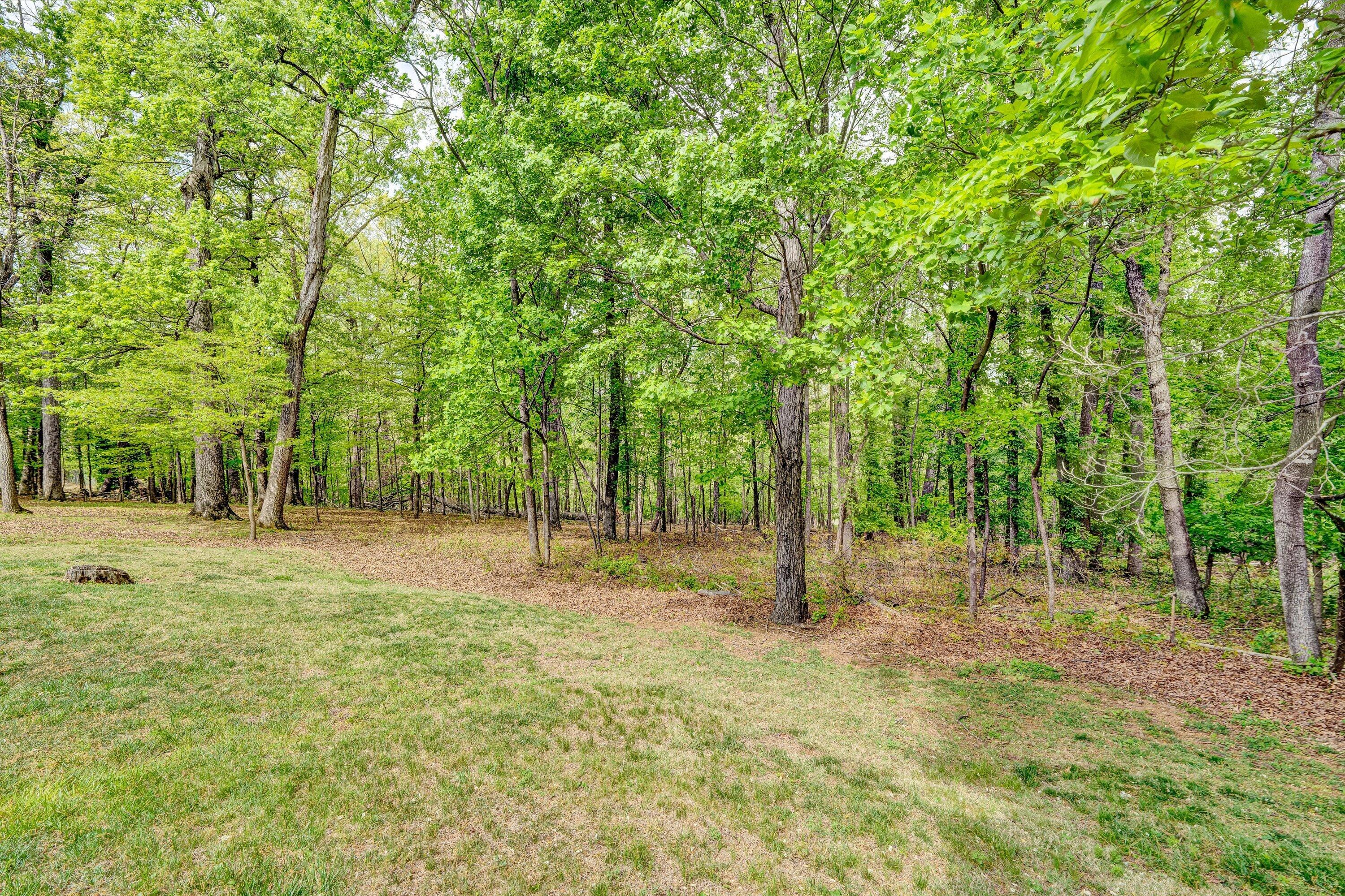 3925 Winding Way Road Southwest Roanoke, VA 24015 - Photo 50 of 56 50-DSC00130