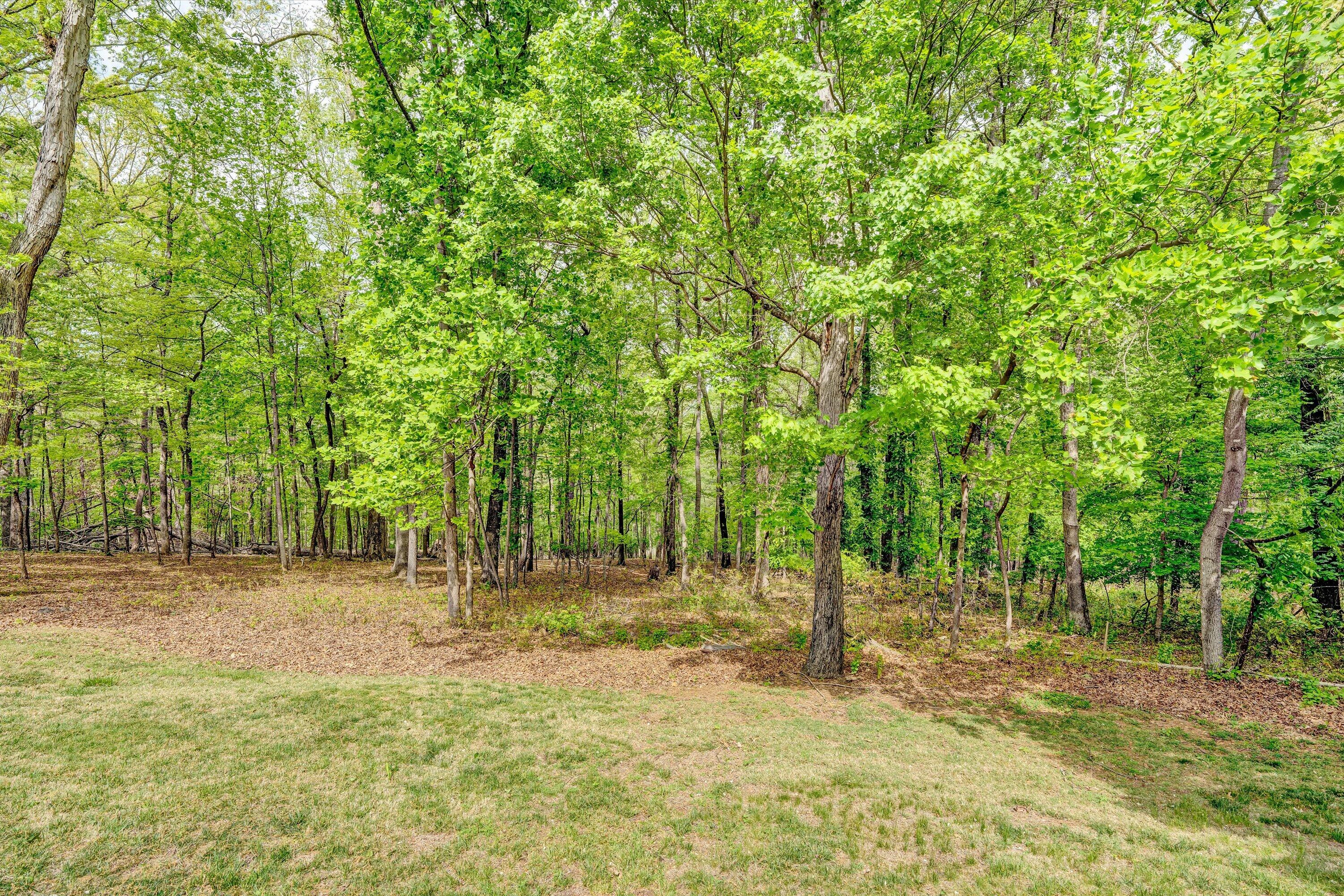 3925 Winding Way Road Southwest Roanoke, VA 24015 - Photo 54 of 56 49-DSC00127