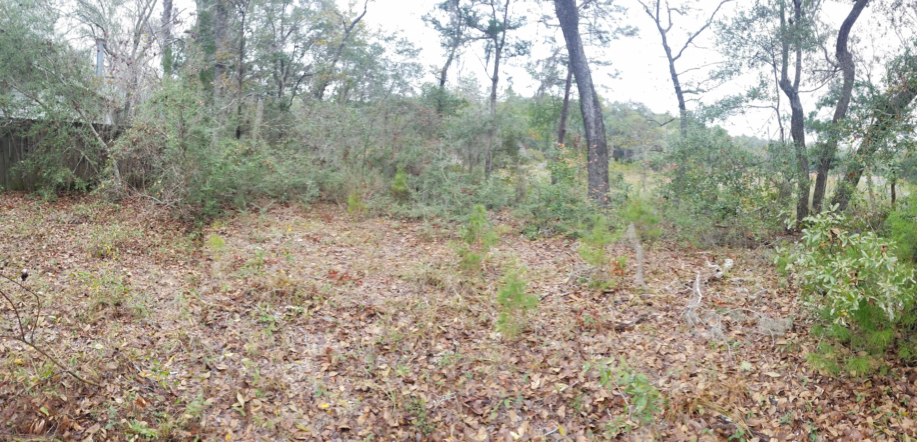 744 Satsuma Road Niceville, FL 32578 - Photo 4 of 6 Satsuma 1