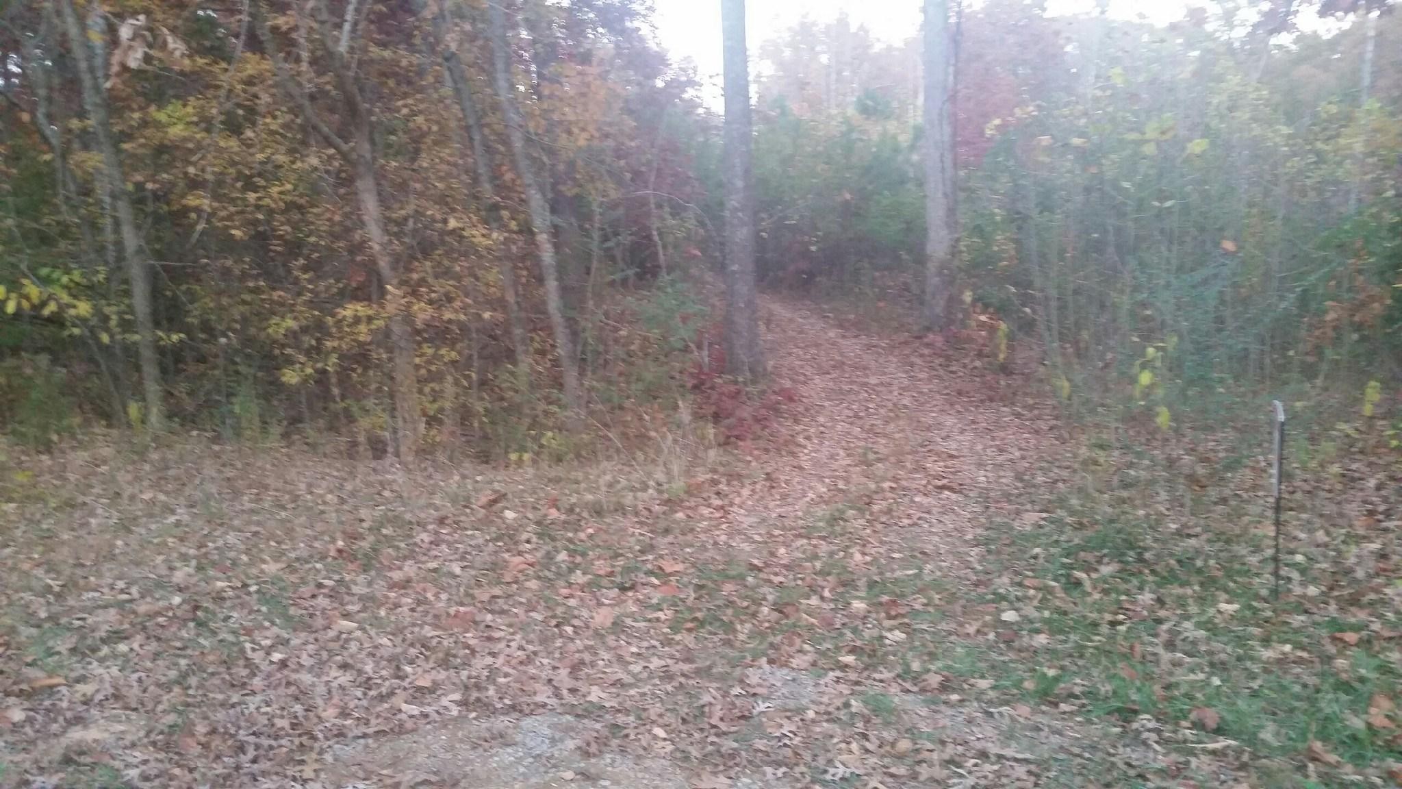 0 Huffs Ferry Road Loudon, TN 37774 - Photo 1 of 1 Gallery Image 1