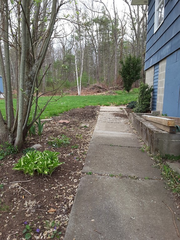 40 Anderson Road Ware, MA 01082 - Photo 18 of 19 a view of a yard with plants and trees