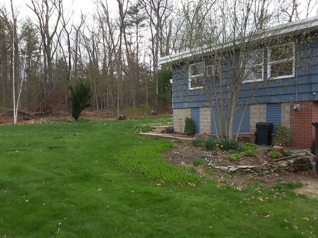 40 Anderson Road Ware, MA 01082 - Photo 4 of 19 a view of a backyard with plants and large tree