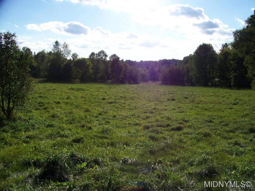 577 Grant Road Poland, NY 13431 - Photo 19 of 23 Gallery Image 19