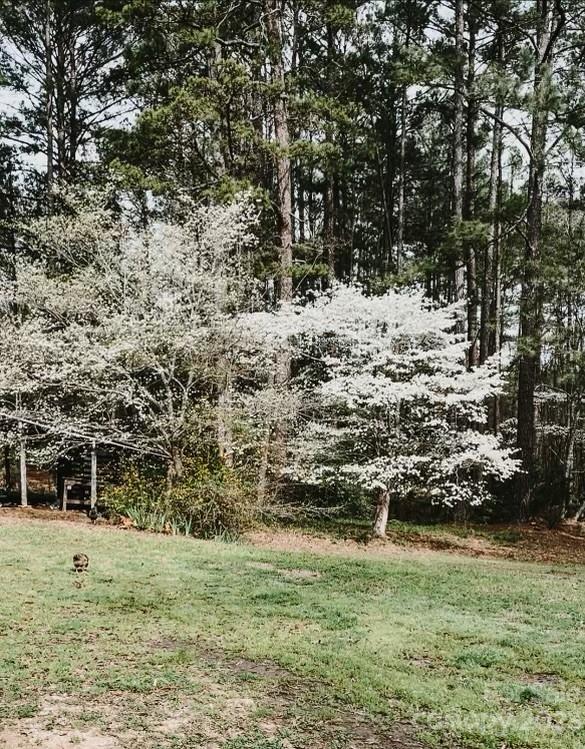 1532 Center Road Chester, SC 29706 - Photo 34 of 40 a view of outdoor space and yard
