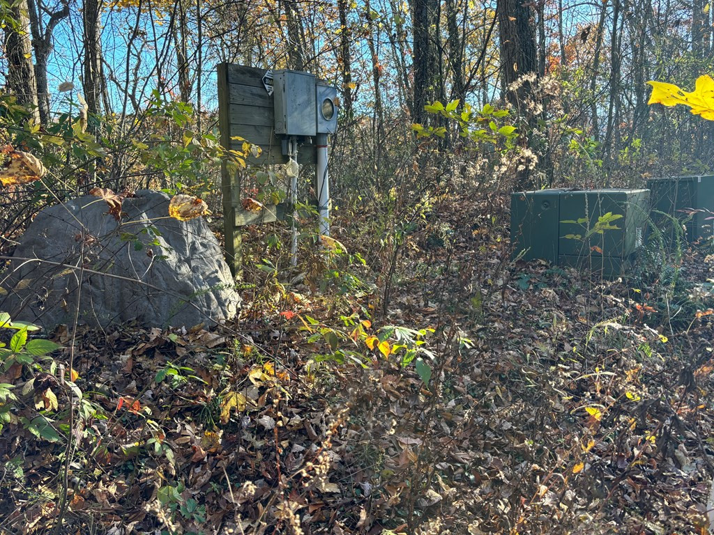Lot#39 Falcon Stone Ridge Topton, NC 28781 - Photo 7 of 10