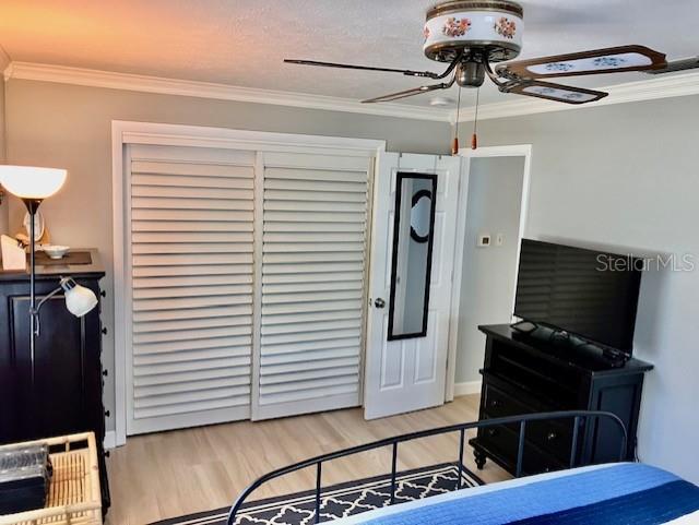 121 14th Avenue North Indian Rocks Beach, FL 33785 - Photo 23 of 49