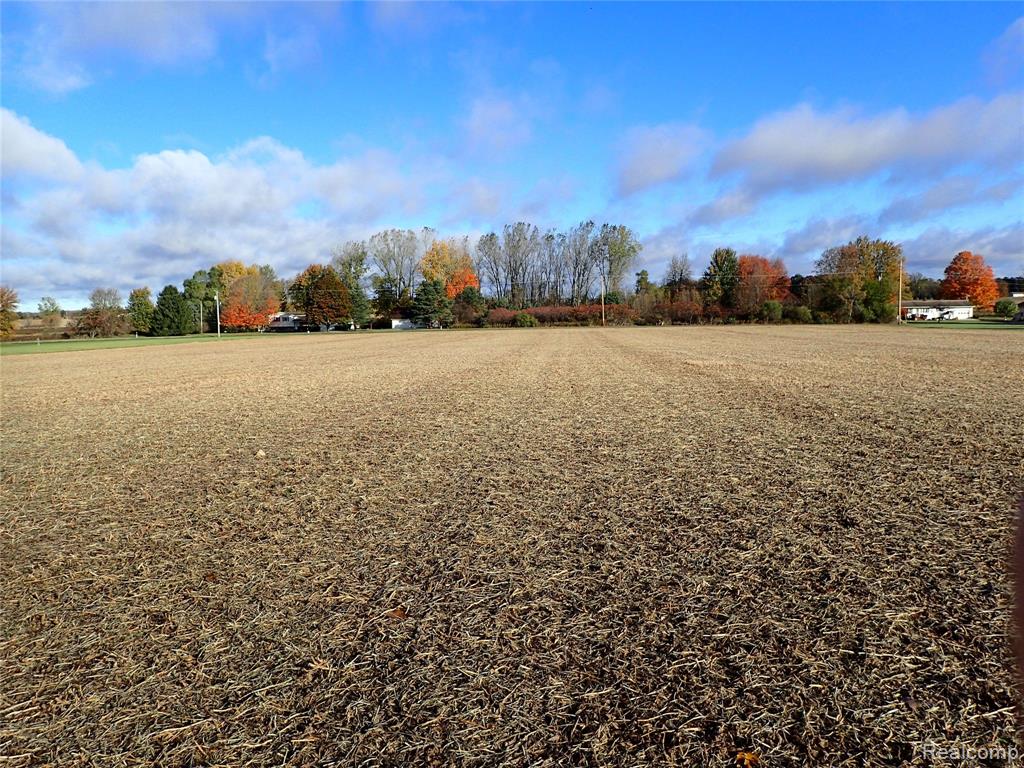 0 Hayner Road Fowlerville, MI 48836 - Photo 4 of 4