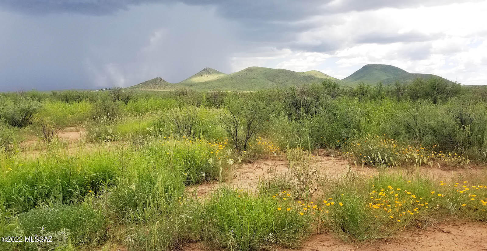 Tbd South Grimmett Road Pearce, AZ 85625 - Photo 6 of 21 Gallery Image 6