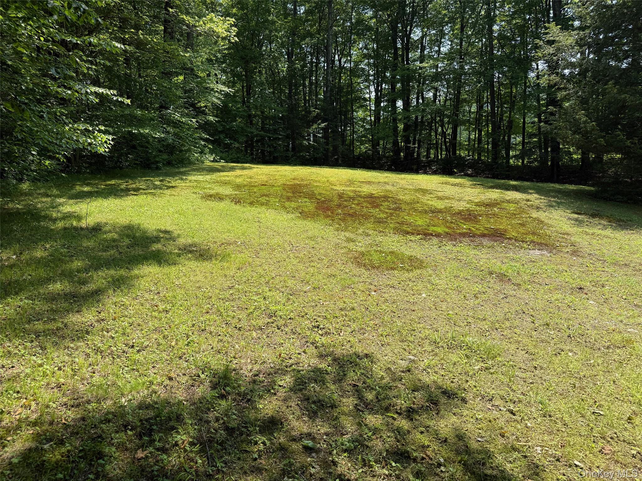 230 Cooper Road Millerton, NY 12546 - Photo 18 of 20 a view of a yard with a large trees