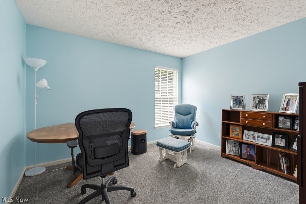 4588 Lexington Ridge Drive Medina, OH 44256 - Photo 23 of 37