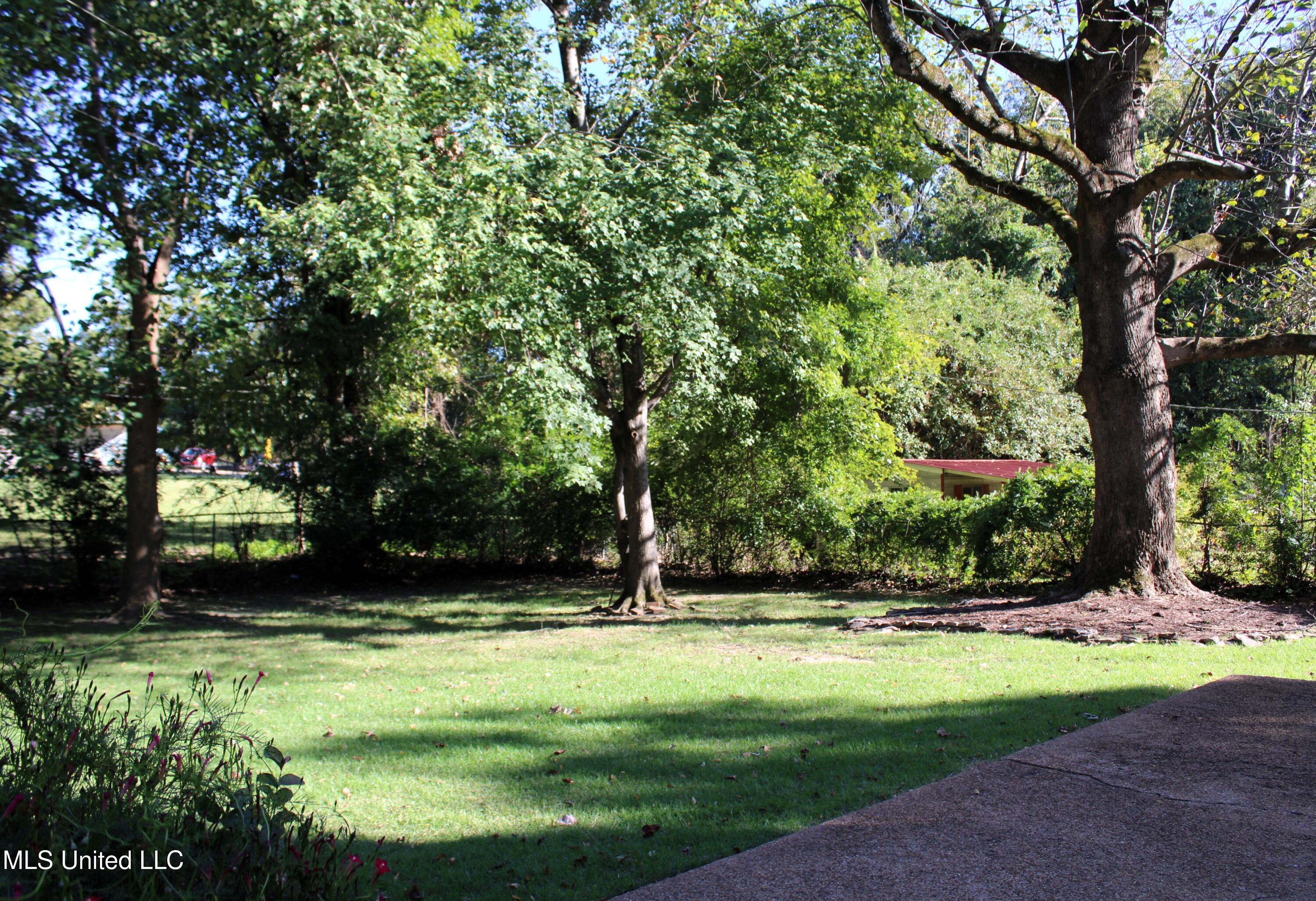 6476 Dresden Street Olive Branch, MS 38654 - Photo 27 of 28 Rear Yard