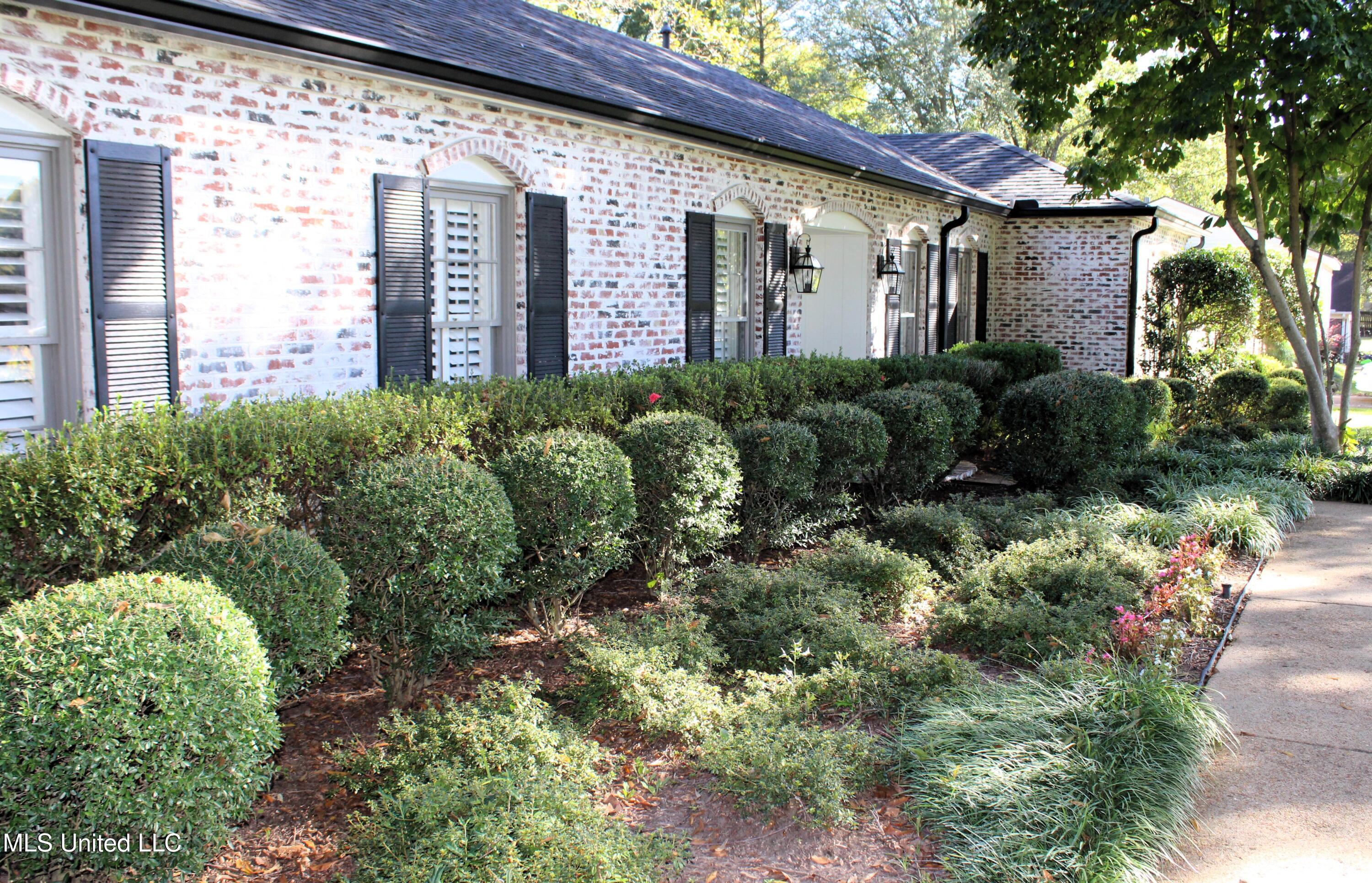 6476 Dresden Street Olive Branch, MS 38654 - Photo 3 of 28 Beautiful Landscaping
