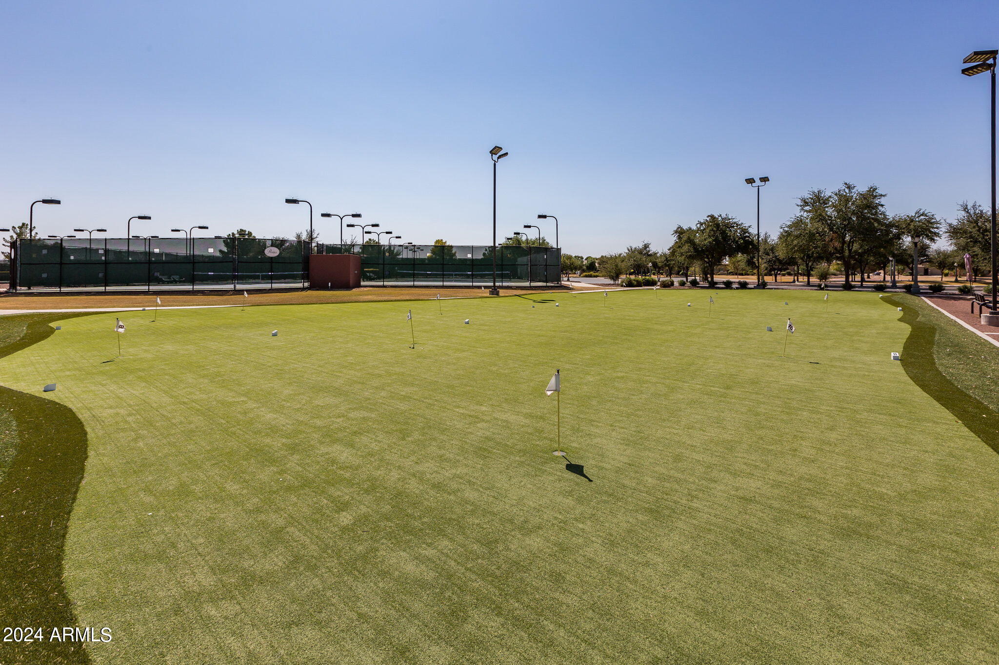 20810 North Gardenia Road Maricopa, AZ 85138 - Photo 38 of 42 Get your golf game ready!