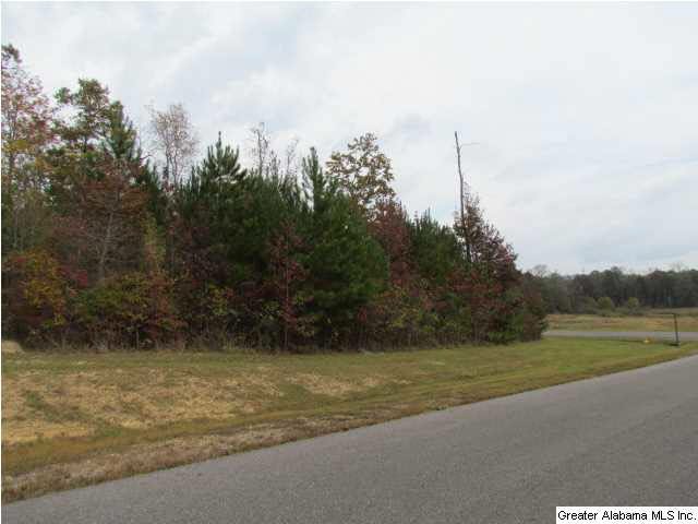 Brooke Lane Odenville, AL 35120 - Photo 3 of 4