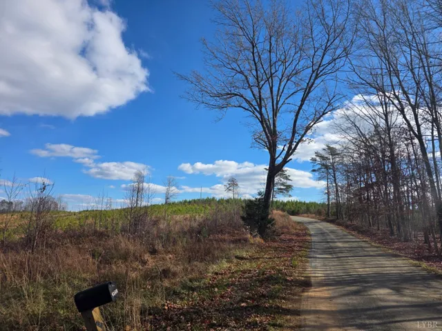 a view of a backyard of the house