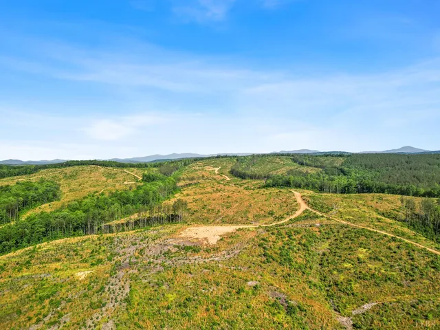 a view of an ocean from a yard