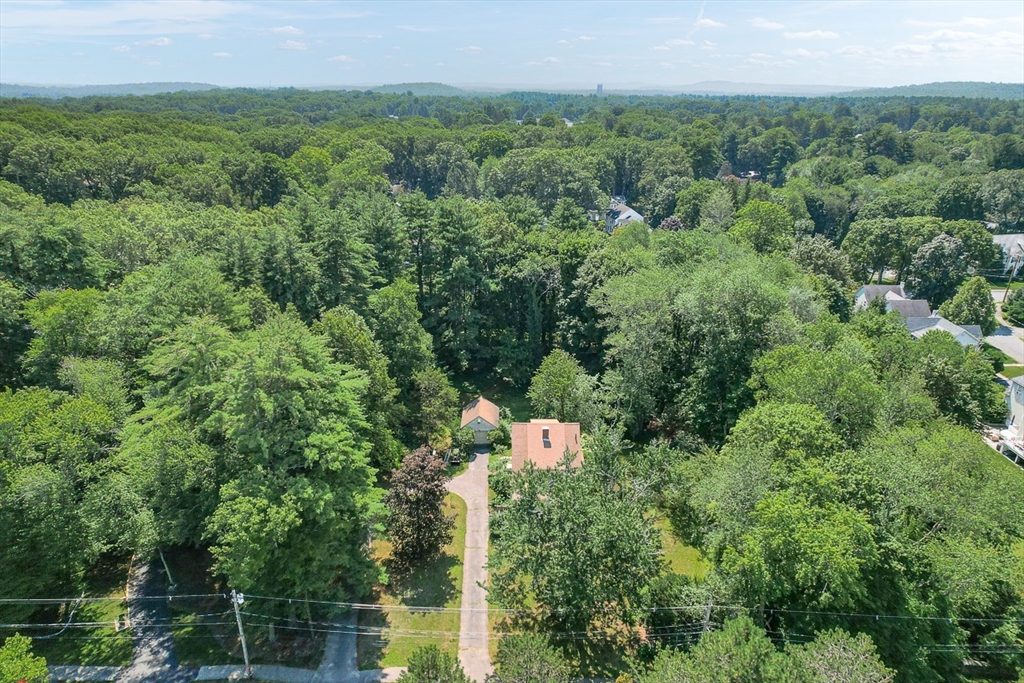 53 Elmwood Road Wellesley, MA 02481 - Photo 14 of 18 Gallery Image 14