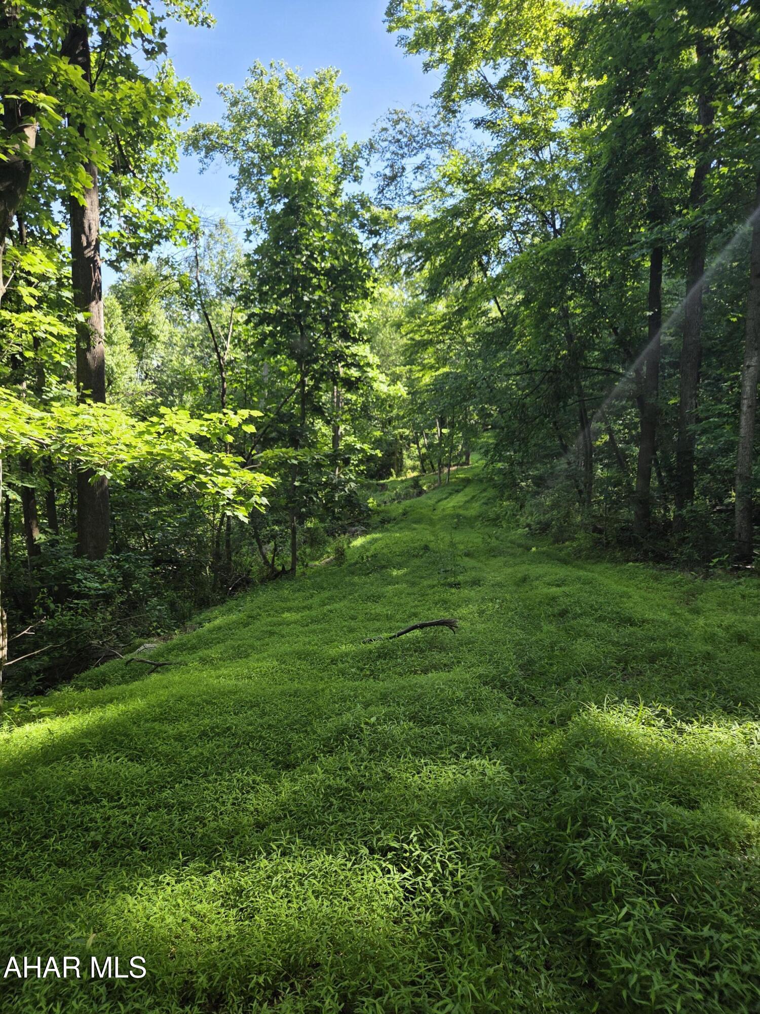 0 Sugar Ridge Road McVeytown, PA 17051 - Photo 10 of 19