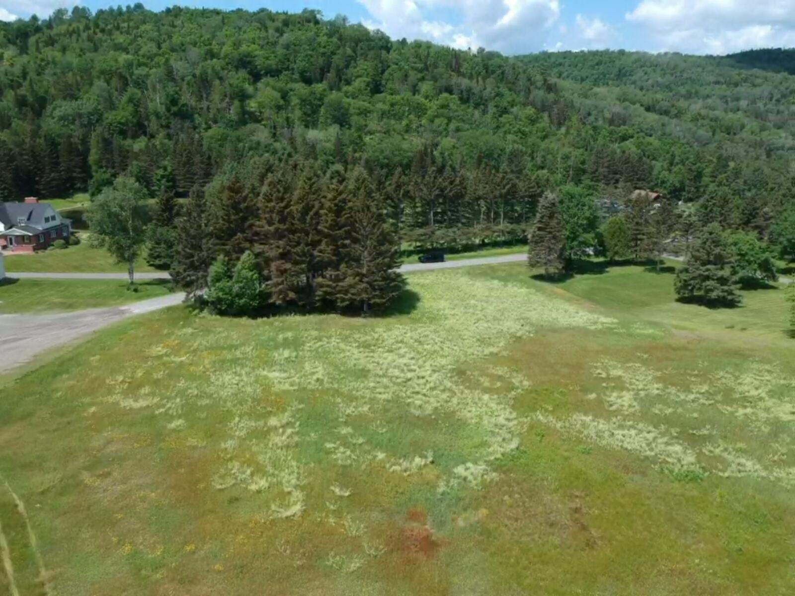 175 Bradbury Road Fort Kent, ME 04743 - Photo 7 of 76 batch_IMG_2937