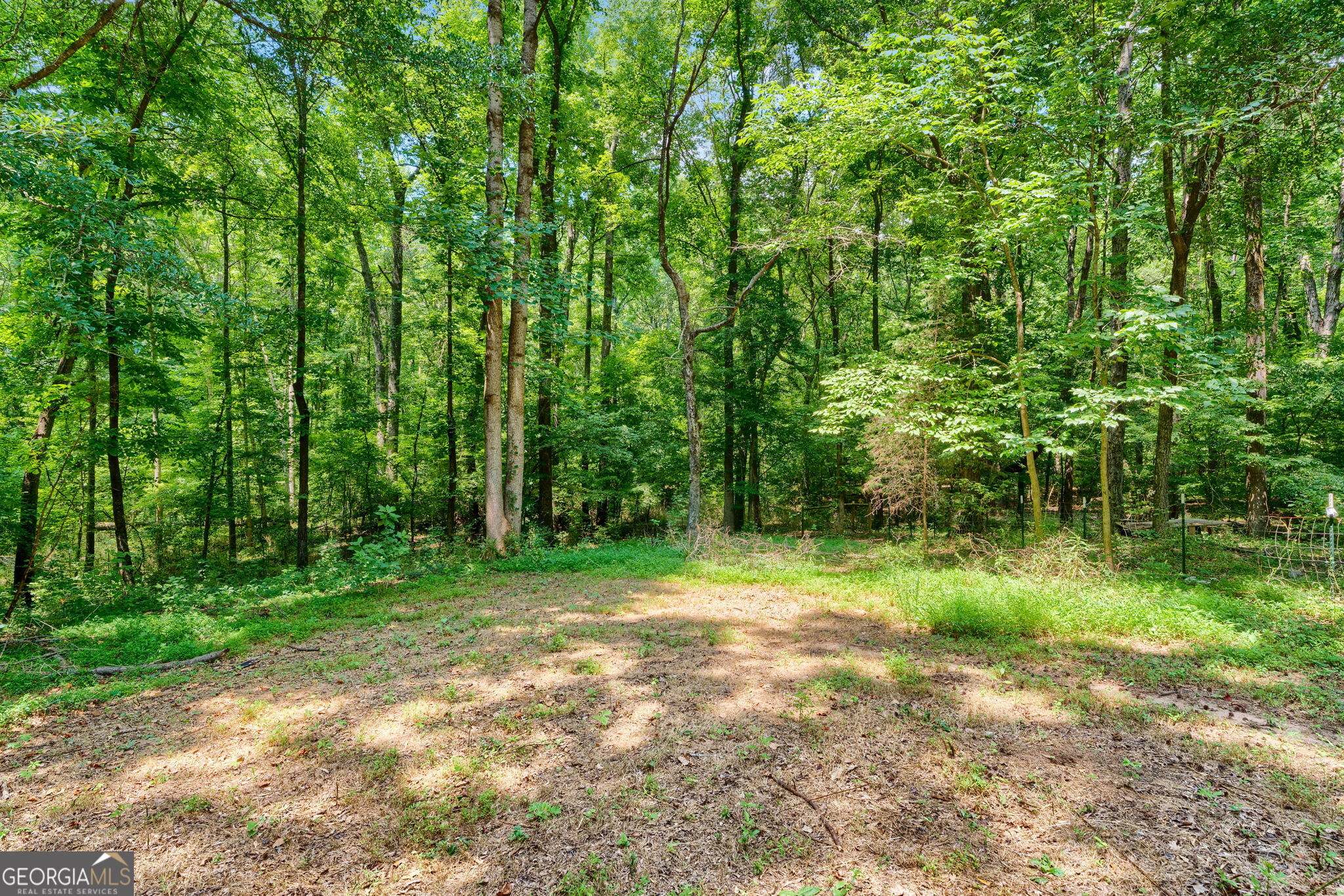 61 Turner Road McDonough, GA 30252 - Photo 44 of 50 Fenced Area/ Potential Pasture