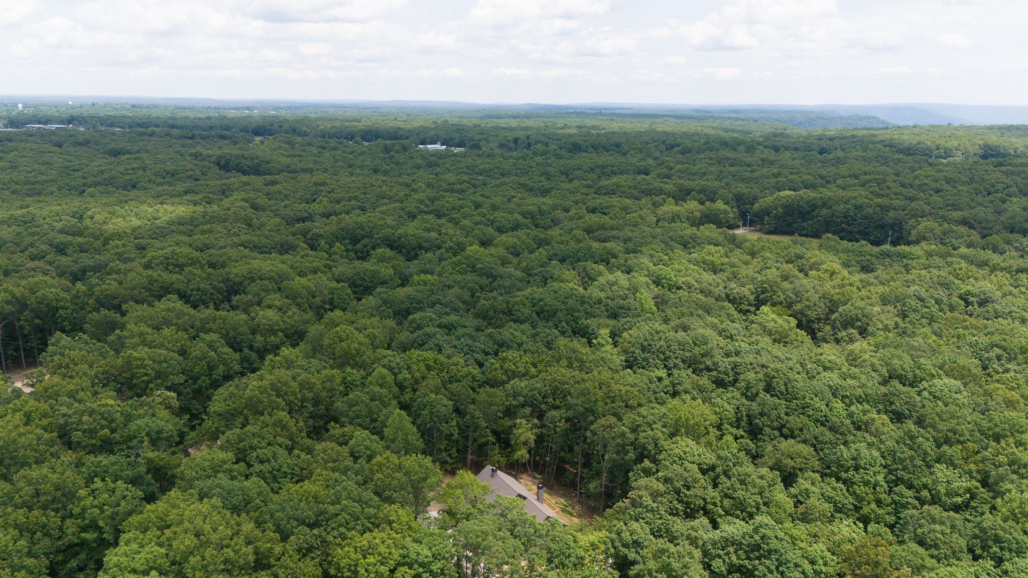35 Lake Louisa Loop Monteagle, TN 37356 - Photo 7 of 44
