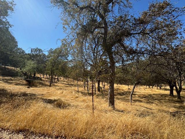 28860 Nancy Road Tollhouse, CA 93667 - Photo 8 of 33 Gallery Image 8