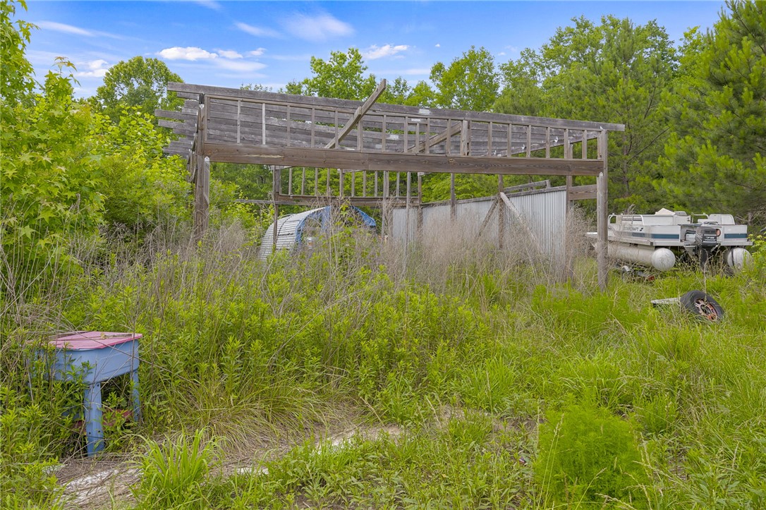 1549 Bethany Church Road Belton, SC 29627 - Photo 11 of 36 A spacious, overgrown lot offers potential for storage or new construction, framed by a clear sky.