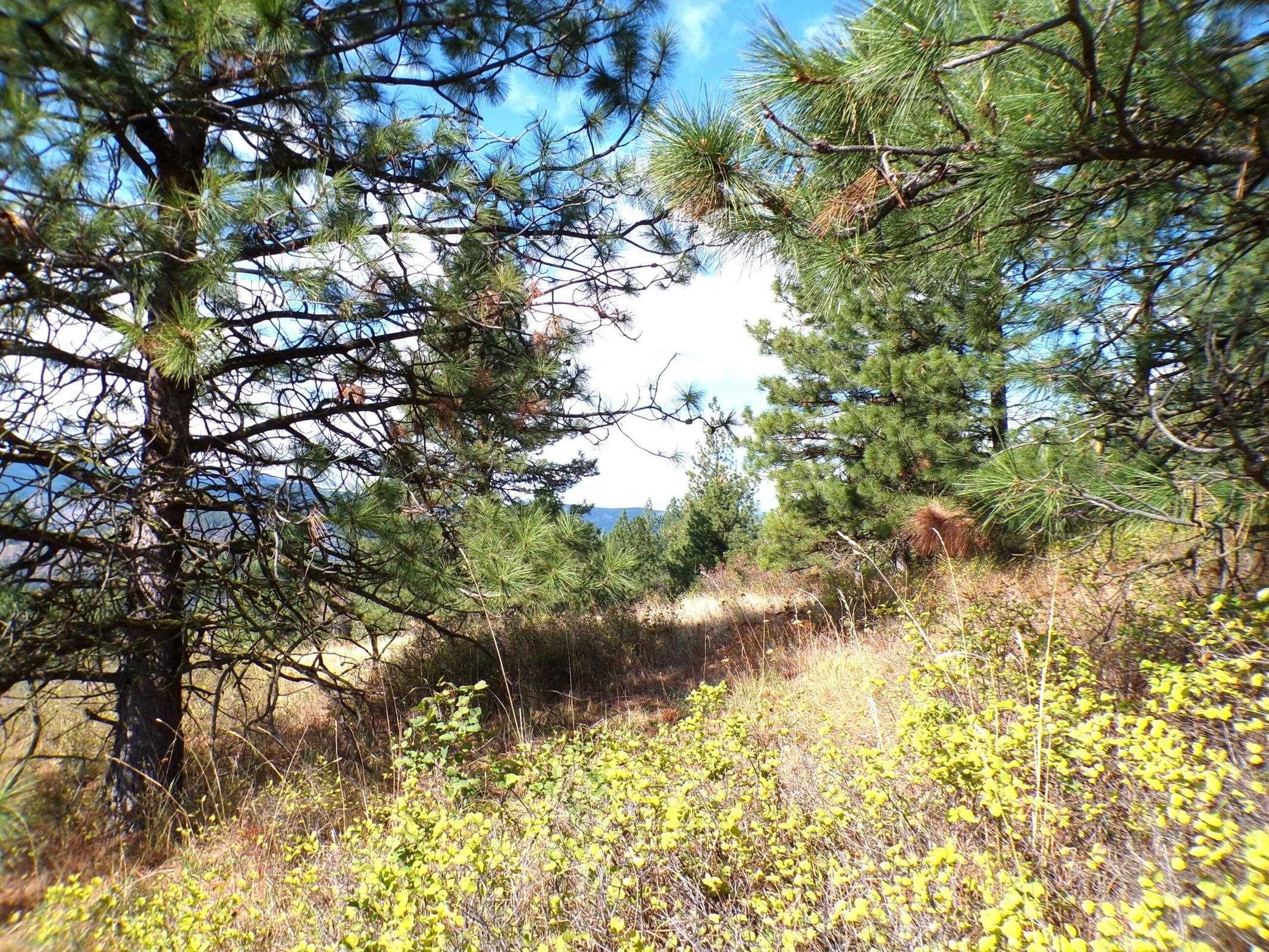 4-xx F South Barnaby Creek Road Inchelium, WA 99138 - Photo 13 of 22 Gallery Image 13
