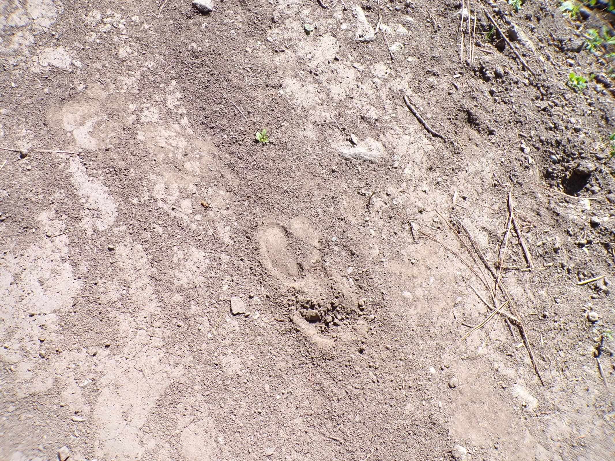 4-xx F South Barnaby Creek Road Inchelium, WA 99138 - Photo 20 of 22 Gallery Image 20