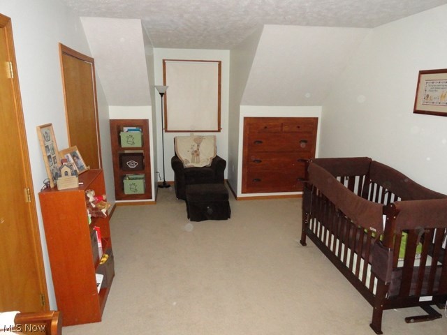 15555 Thompson Road Thompson, OH 44086 - Photo 9 of 17