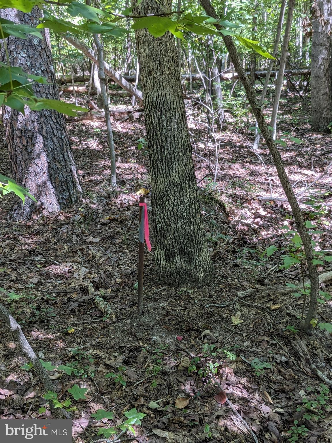 17 Parcel 149 Waldorf Md