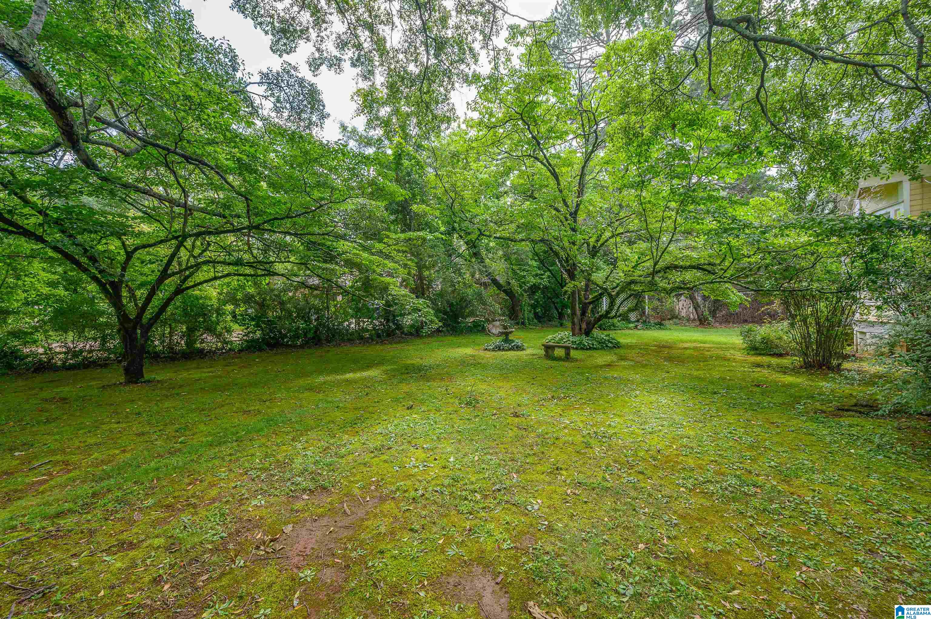 6688 Highway 11 Springville, AL 35146 - Photo 36 of 41
