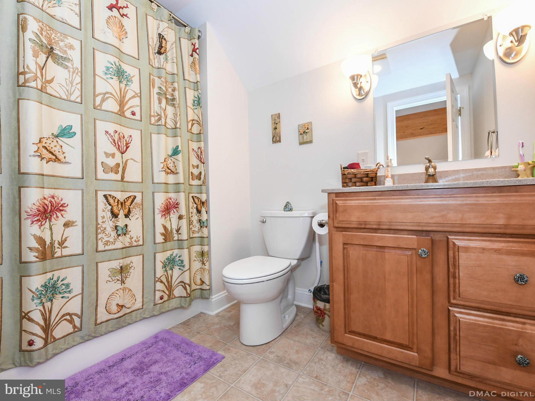 19931 Toms Road Boonsboro, MD 21713 - Photo 25 of 30 Bath