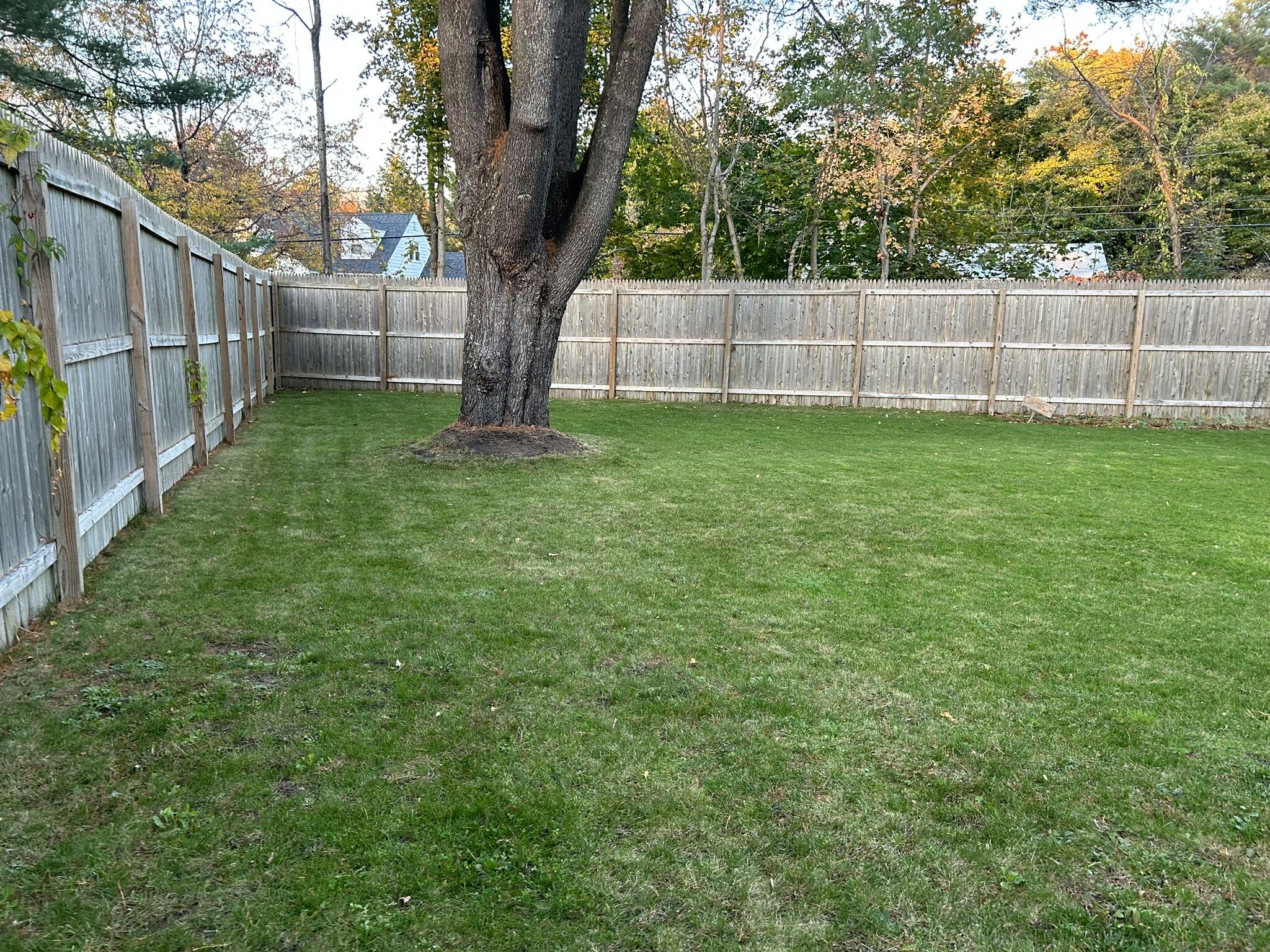 513 Summit Street Portland, ME 04103 - Photo 7 of 39 Fenced Back Yard